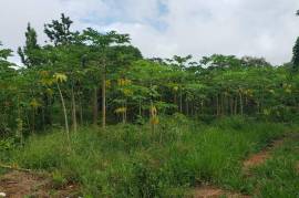 Residential Lot for Sale in Boscobel