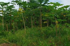 Residential Lot for Sale in Boscobel