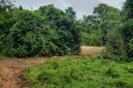 Residential Lot for Sale in Boscobel