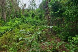 Residential Lot for Sale in Boscobel