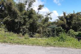 Residential Lot for Sale in Blackstonedge