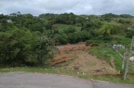 Residential Lot for Sale in Mandeville