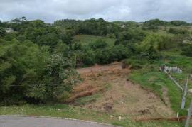 Residential Lot for Sale in Mandeville