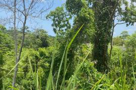 Residential Lot for Sale in Browns Town