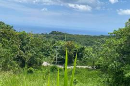 Residential Lot for Sale in Browns Town