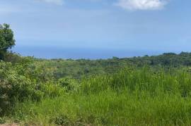 Residential Lot for Sale in Browns Town