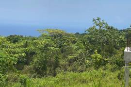 Residential Lot for Sale in Browns Town