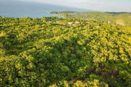 Residential Lot for Sale in Oracabessa