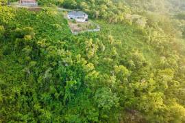 Residential Lot for Sale in Oracabessa