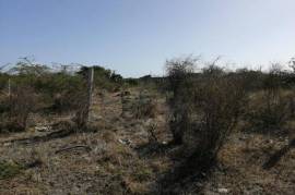 Residential Lot for Sale in Yallahs