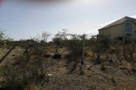 Residential Lot for Sale in Yallahs