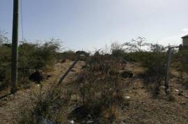 Residential Lot for Sale in Yallahs