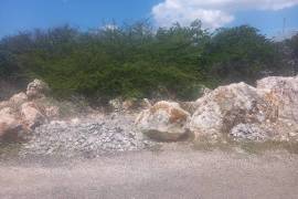 Residential Lot for Sale in Greater Portmore