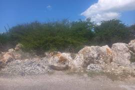 Residential Lot for Sale in Greater Portmore