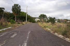 Residential Lot for Sale in White House WD