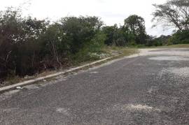 Residential Lot for Sale in White House WD