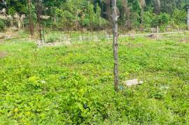 Residential Lot for Sale in Ocho Rios