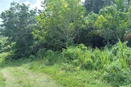 Residential Lot for Sale in Junction