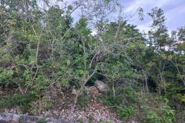 Residential Lot for Sale in Boscobel