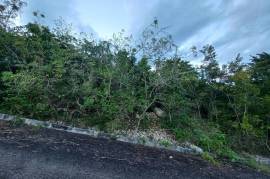 Residential Lot for Sale in Boscobel