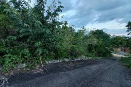 Residential Lot for Sale in Boscobel