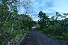 Residential Lot for Sale in Boscobel