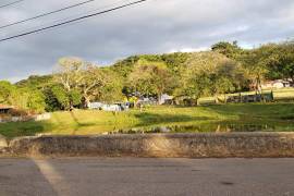 Residential Lot for Sale in Browns Town