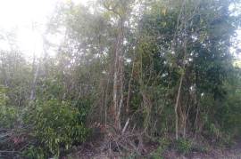 Residential Lot for Sale in Browns Town