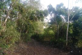 Residential Lot for Sale in Browns Town