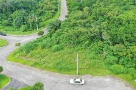 Residential Lot for Sale in Mandeville