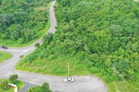 Residential Lot for Sale in Mandeville