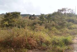 Residential Lot for Sale in Hat Field