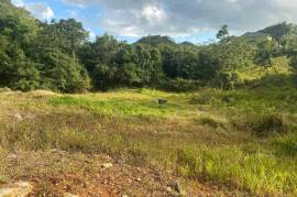 Residential Lot for Sale in Hat Field