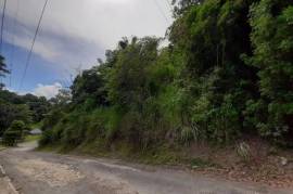 Residential Lot for Sale in Kingston 6