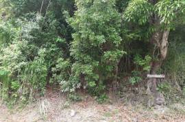 Residential Lot for Sale in Kingston 6