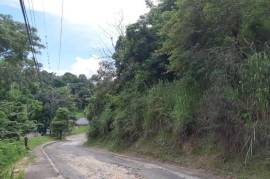 Residential Lot for Sale in Kingston 6