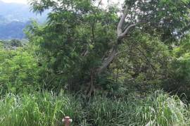 Residential Lot for Sale in Kingston 6