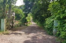 Residential Lot for Sale in Discovery Bay