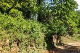 Residential Lot for Sale in Porus