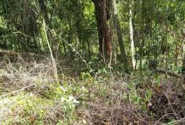 Residential Lot for Sale in Porus