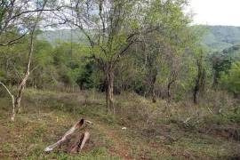 Residential Lot for Sale in Porus