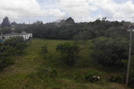 Residential Lot for Sale in Knockpatrick