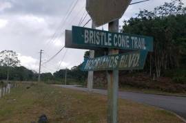 Residential Lot for Sale in Mandeville