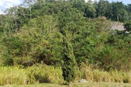 Residential Lot for Sale in Mandeville