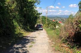 Residential Lot for Sale in Mandeville