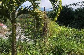 Residential Lot for Sale in Mandeville