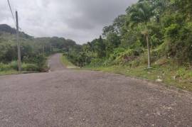 Residential Lot for Sale in Mandeville