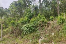 Residential Lot for Sale in Mandeville