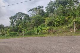 Residential Lot for Sale in Mandeville