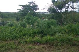 Residential Lot for Sale in Boscobel